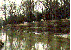 Erosion Control Blanket