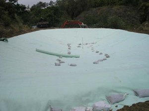 Green Geotextiles